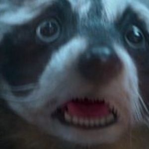 Meet your Posher, Kaitlyn